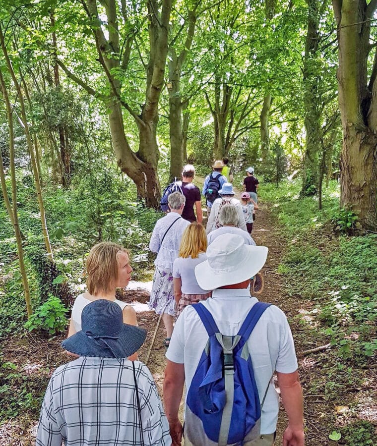Woodland walk near Broomfield Hospital