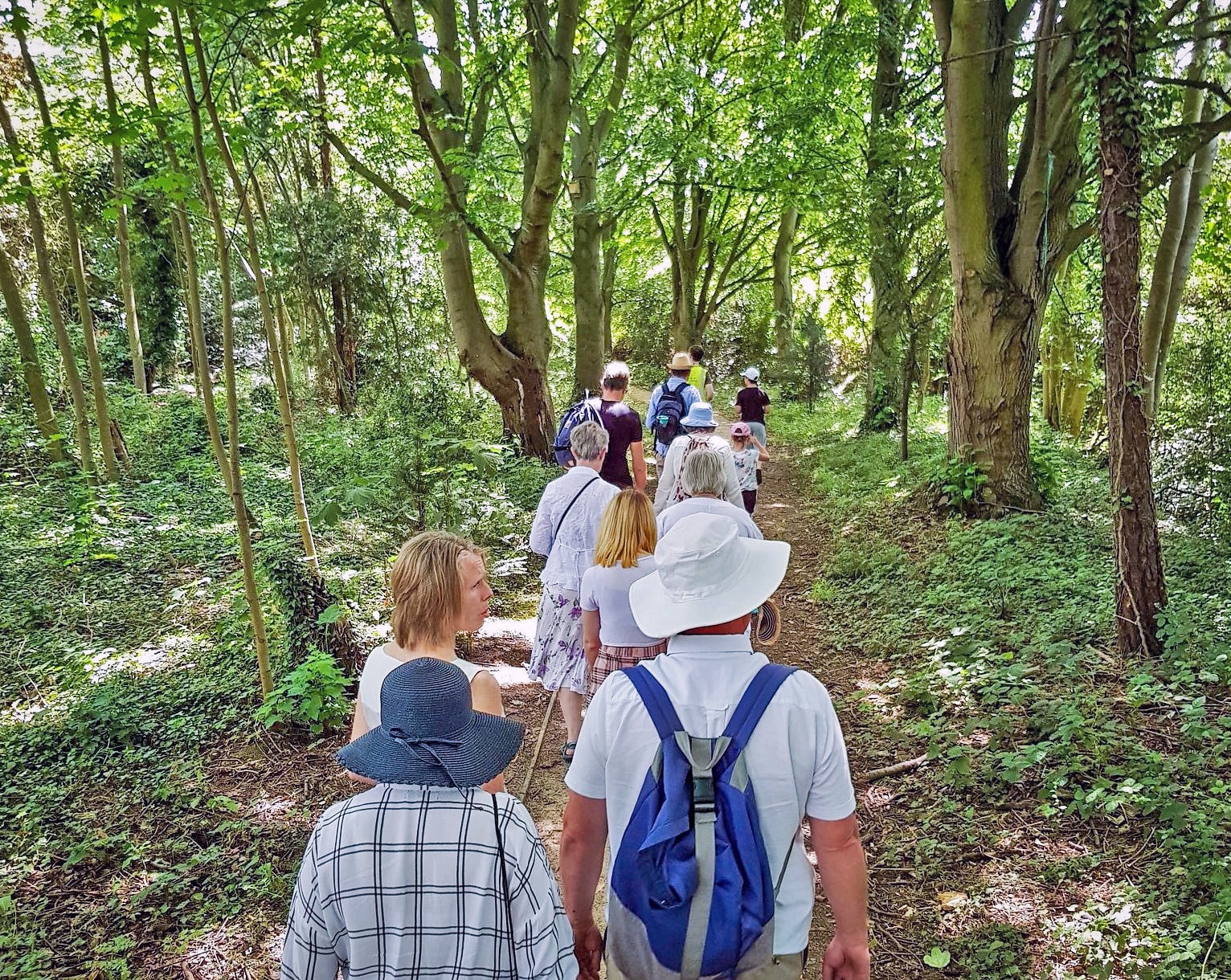 Woodland walk near Broomfield Hospital