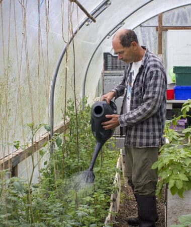 Steve, a community gardener at Guild Lodge's Grow Your Own site in Preston