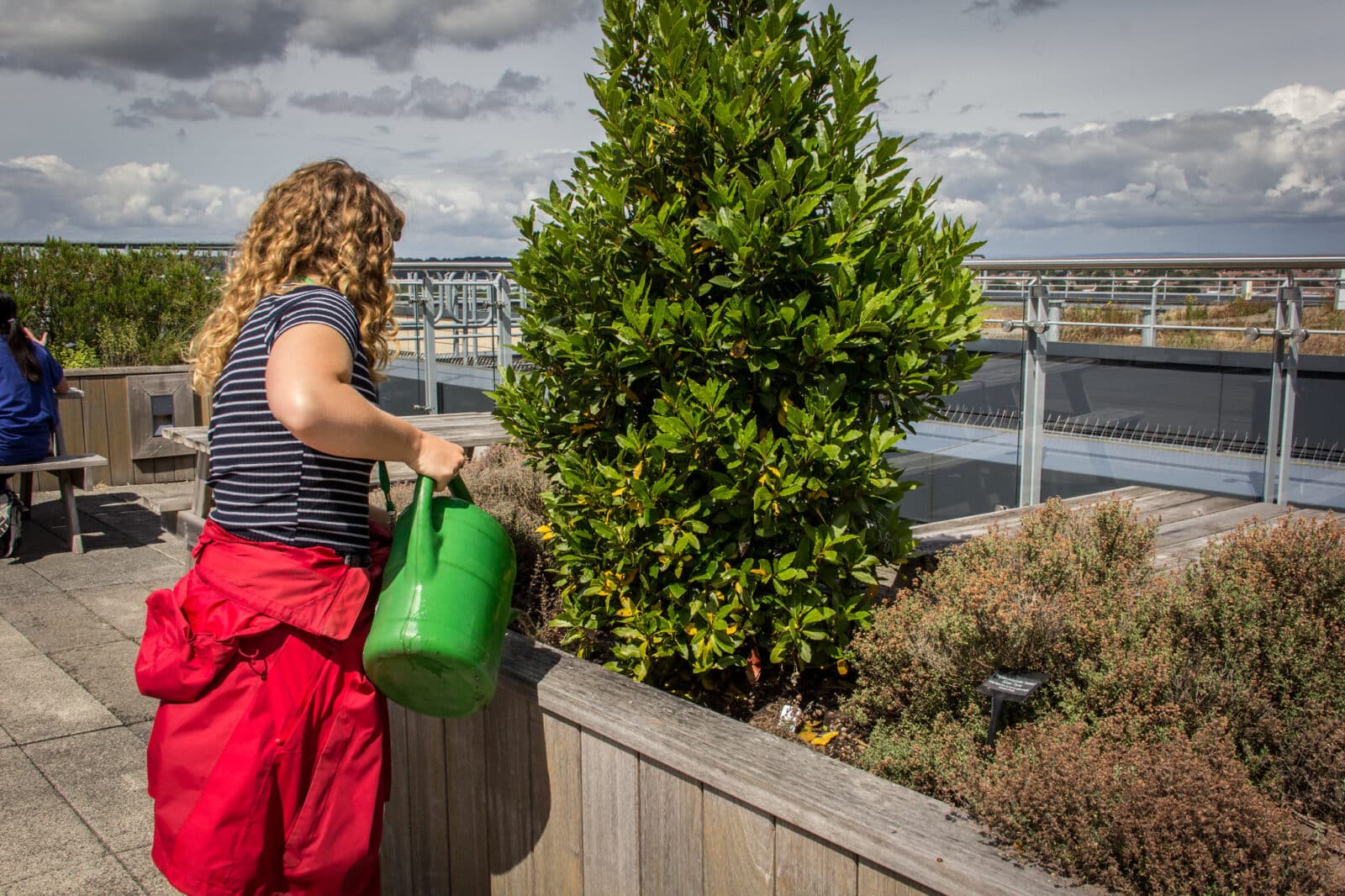 Ranger Phoebe Webster tends to Southmead Hospital's rooftop herb garden, leading off the Vu Restaurant for staff