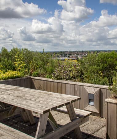 Southmead Hospital's rooftop herb garden, leading off the Vu Restaurant for staff