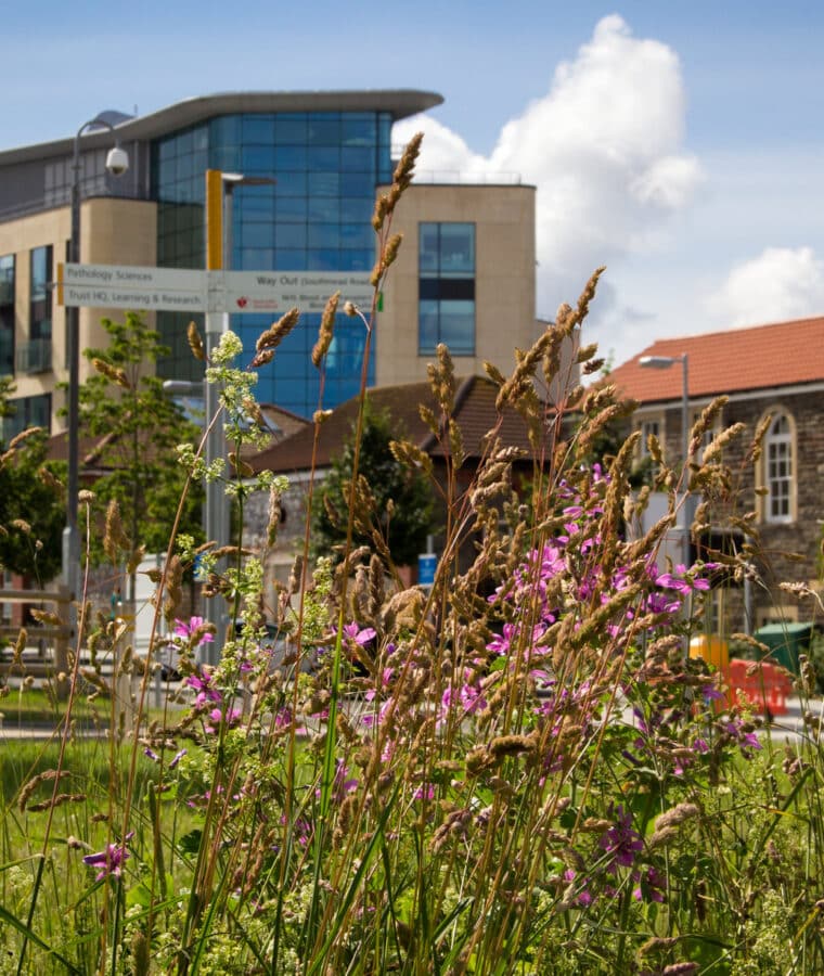 Southmead Hospital