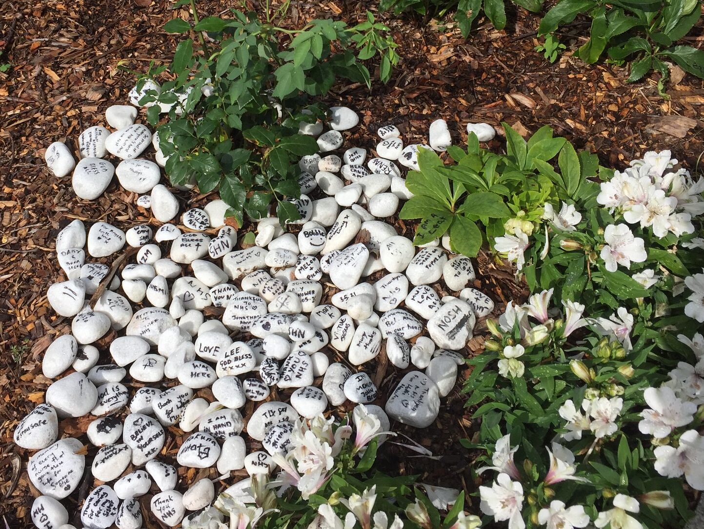 Broomfield Hospital memorial garden