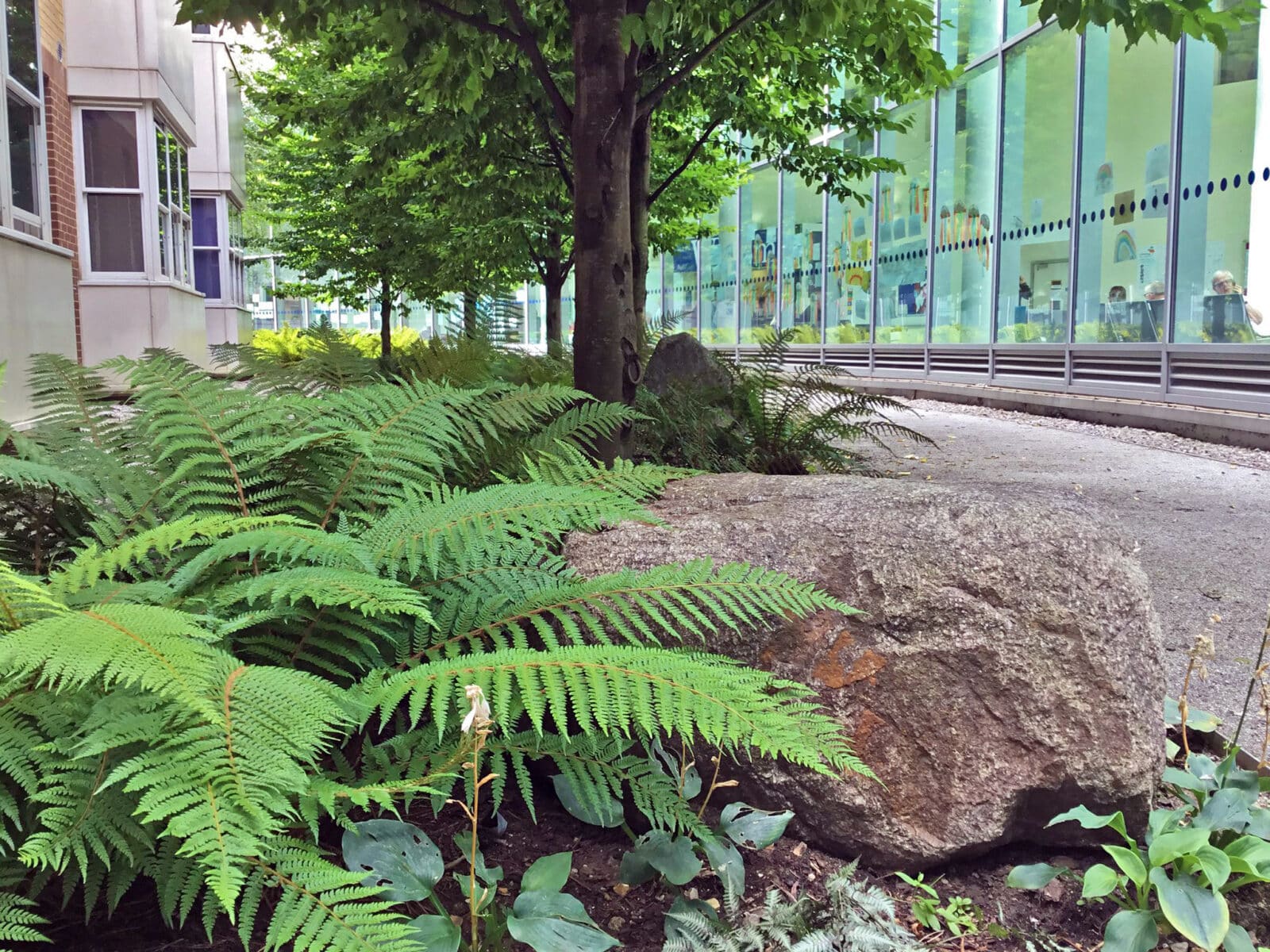 Broomfield Hospital's landscaped 'Walk through Time' area