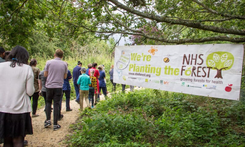 The woodland walkway opens at at Mount Vernon Cancer Centre