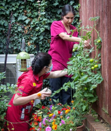 Radiographers greening up a neglected space outside their staff room