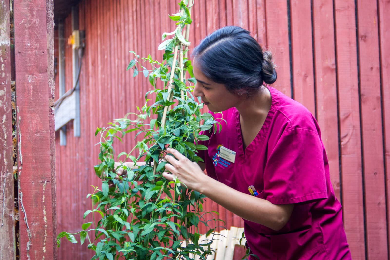 Radiographers greening up a patch of land outside their staff room