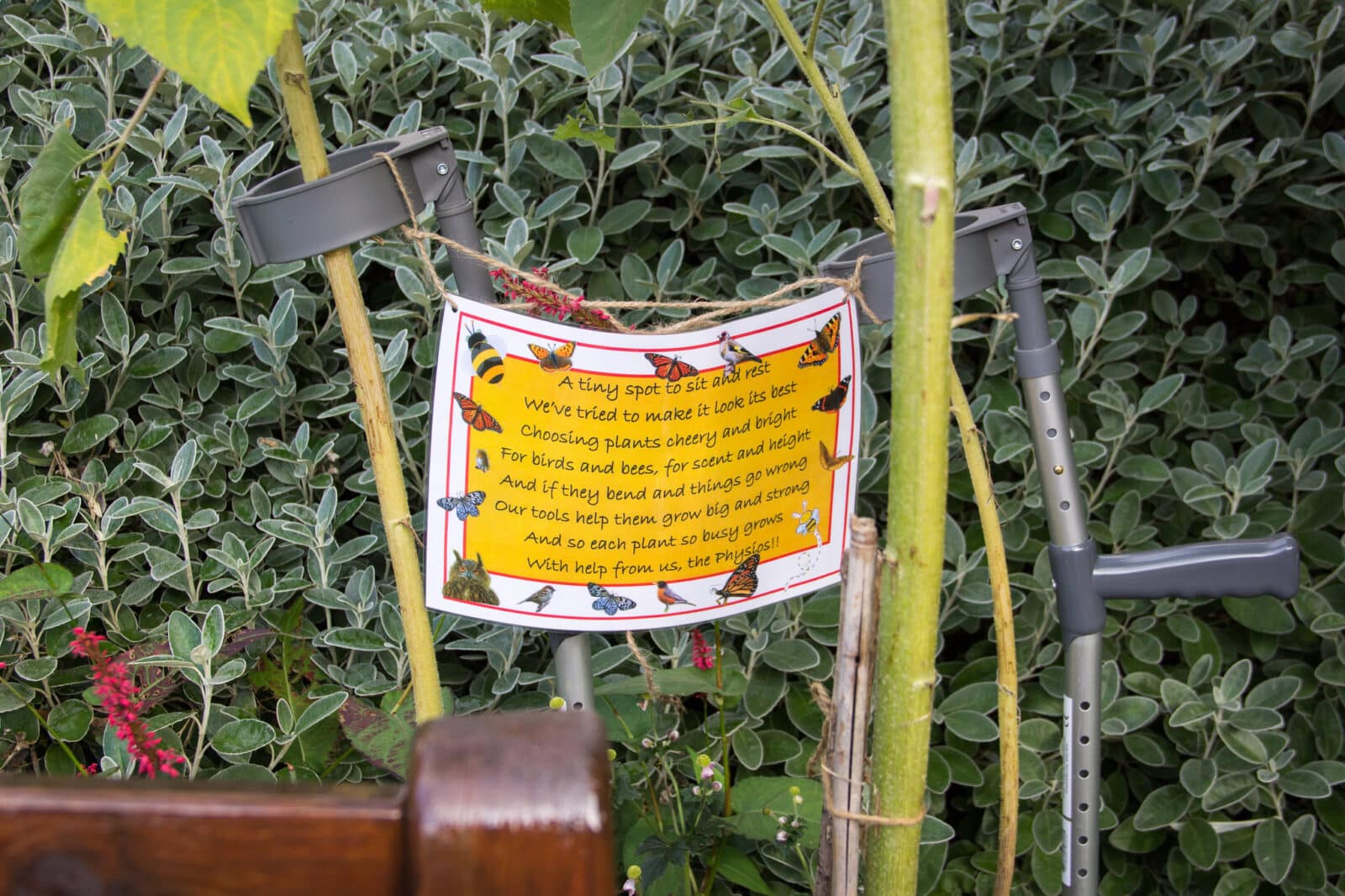 Physiotherapists' garden at Bishop's Wood, Mount Vernon