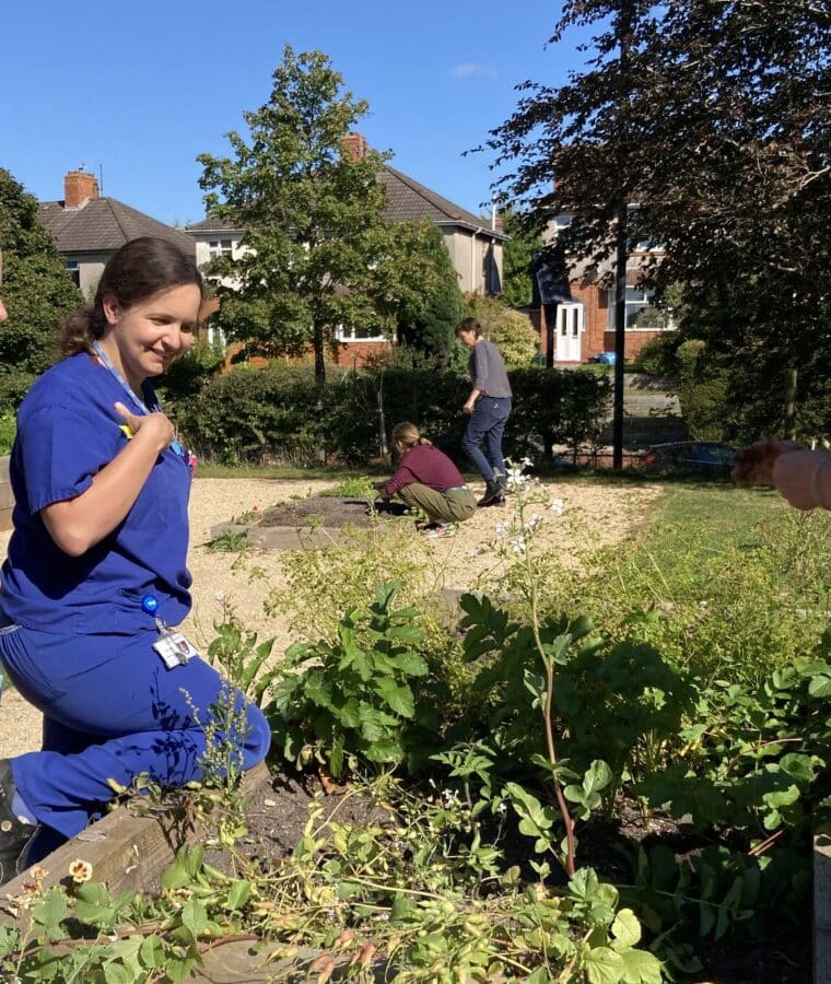Introduction to Nature Recovery and Green Social Prescribing training at Southmead Hospital, Bristol