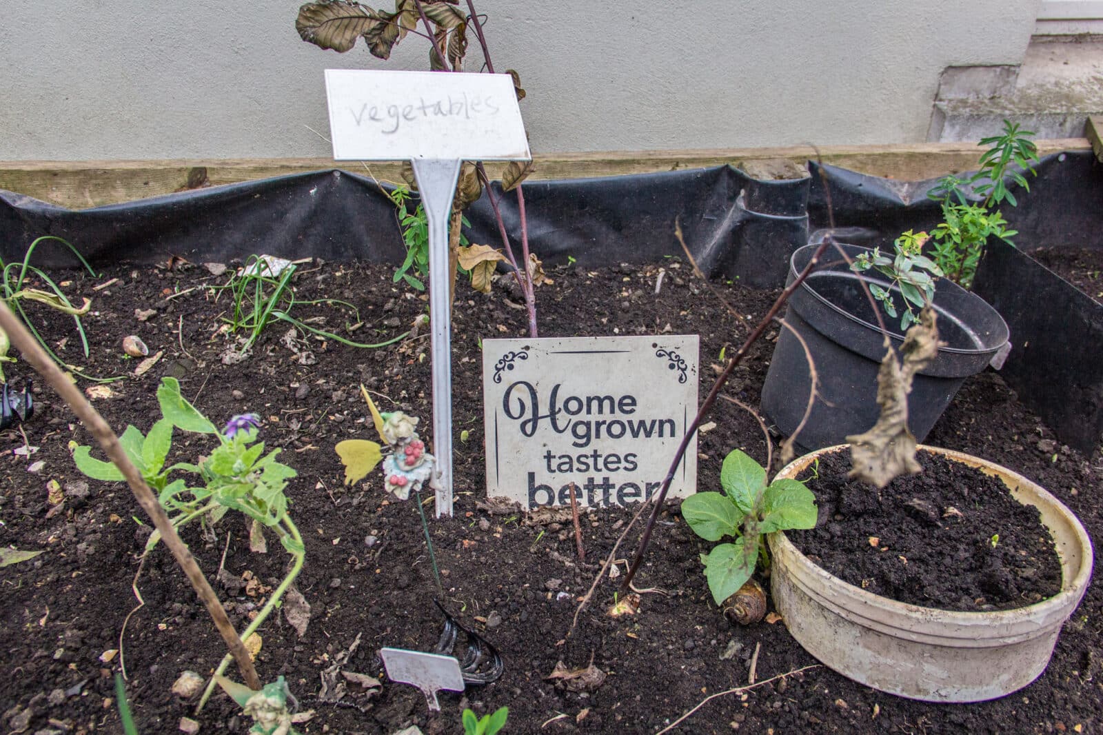 Signs in the raised beds at the Lambeth GP Surgery