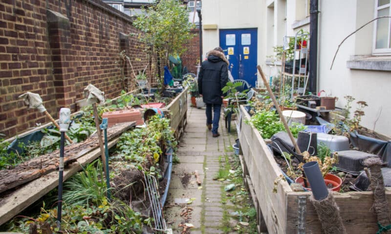 Raised beds in the Lambeth Walk Surgery garden
