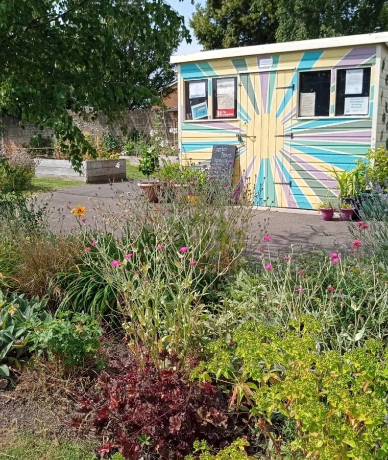 Sensory garden at Highbury Community Garden