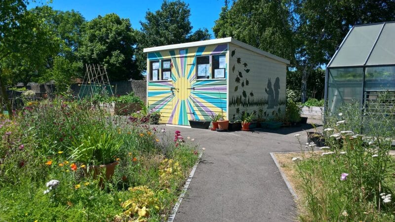 Sensory garden at Highbury Community Garden