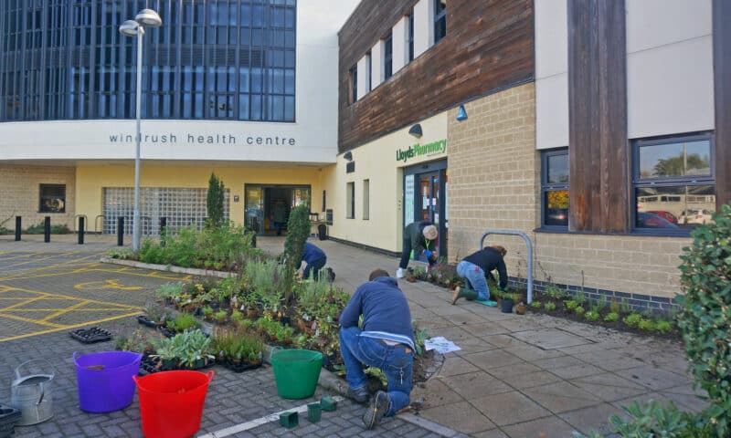 Planting for Bee Healthy project at Windrish Medical Practice. Photo: Roselle Chapman, Wild Oxfordshire. All rights reserved.