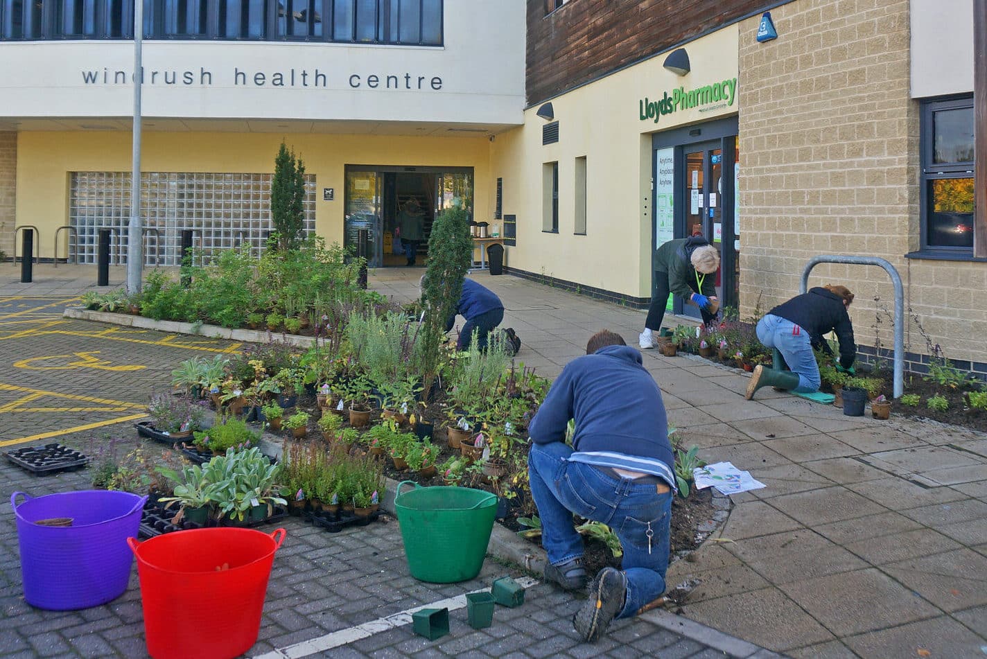 Planting for Bee Healthy project at Windrush Medical Practice. Photo: Roselle Chapman, Wild Oxfordshire. All rights reserved.