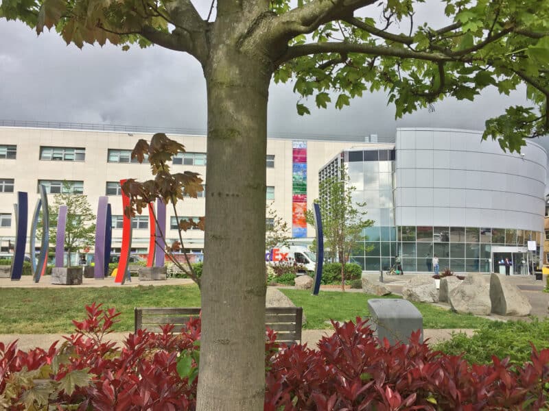 Broomfield Hospital, Chelmsford, Essex