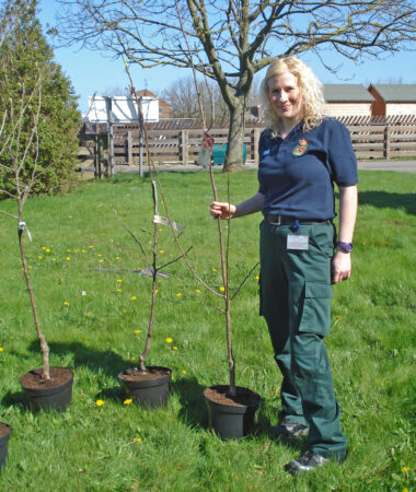 Tree planting at Filey Ambulance Station