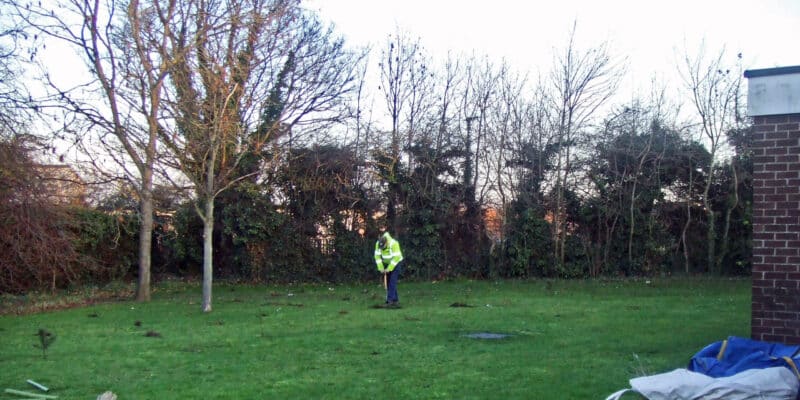 Freeman Hospital tree planting