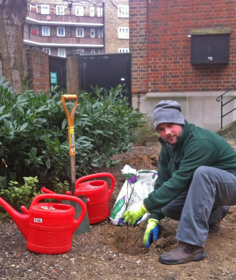 Guy's and St Thomas' tree planting