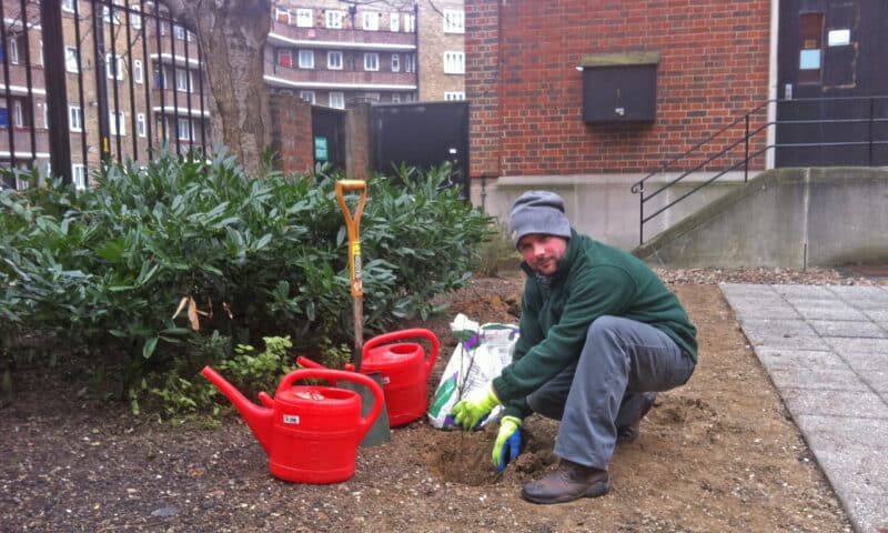 Guy's and St Thomas' tree planting