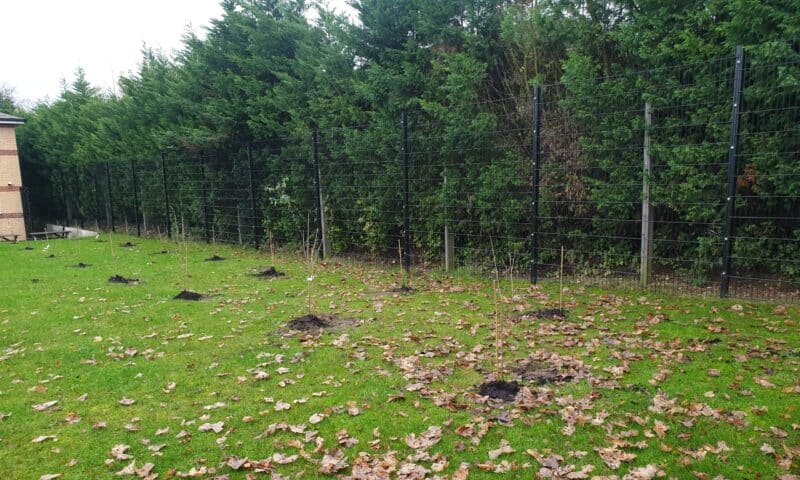 Hopewood Lodge tree planting