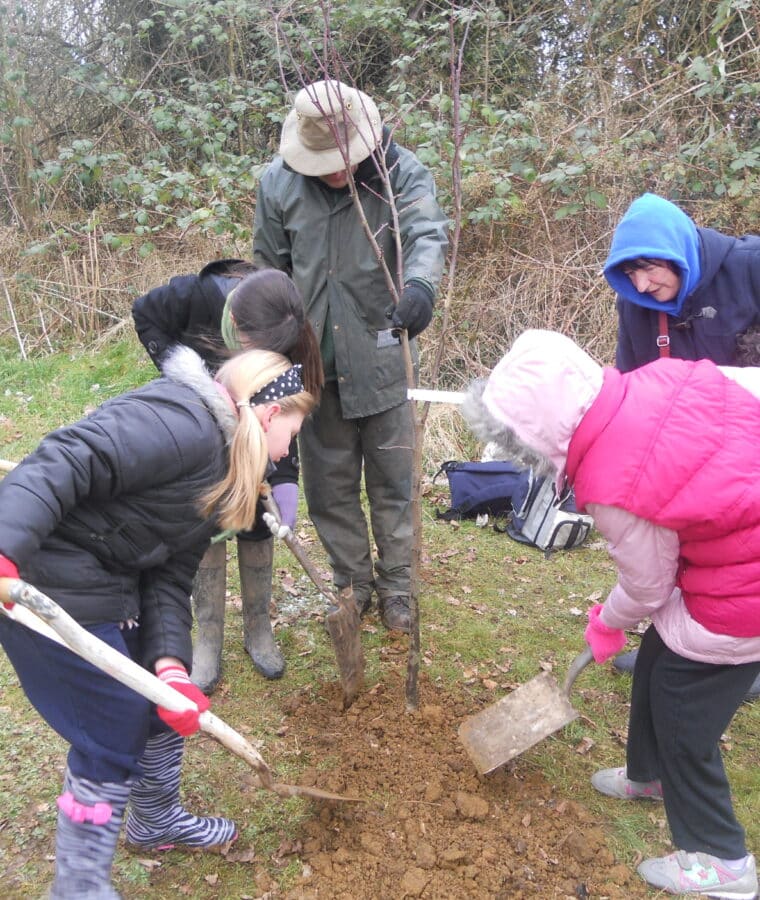 School children plant trees at Horton Hospital