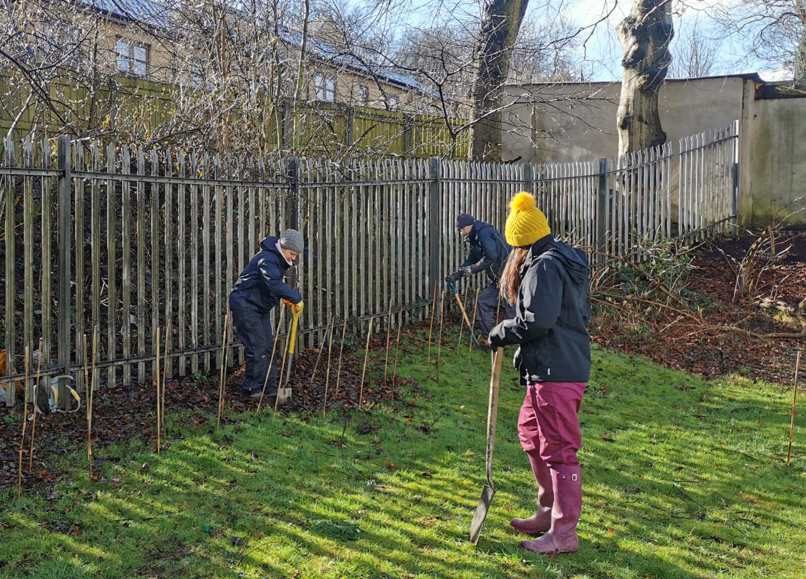 Planting trees for the NHS Forest
