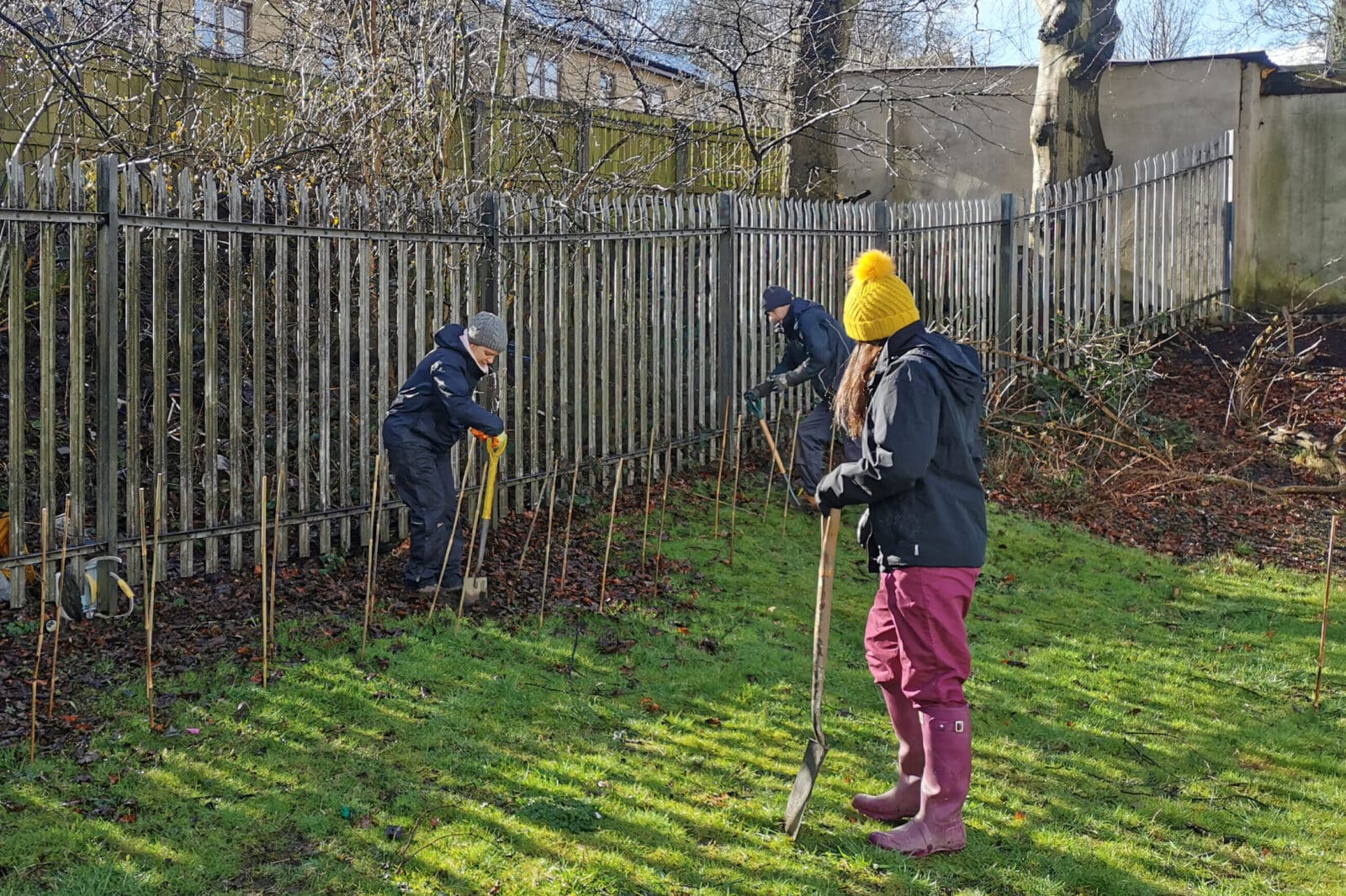 Planting trees for the NHS Forest at Bradford District Care NHS Foundation Trust