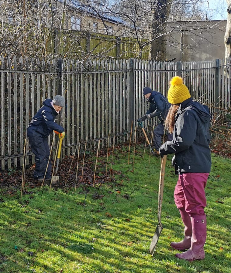 Planting trees for the NHS Forest at Bradford District Care NHS Foundation Trust