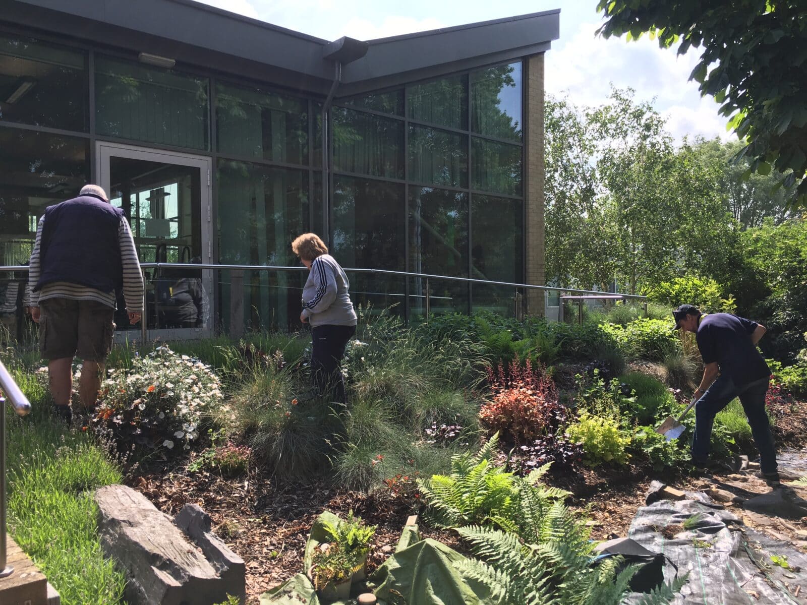 Volunteer gardeners at Mount Vernon Cancer Centre