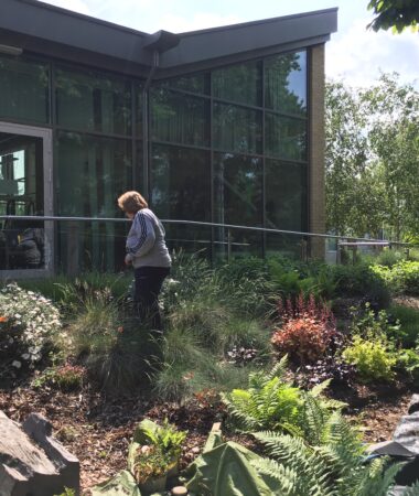 Volunteer gardeners at Mount Vernon Cancer Centre