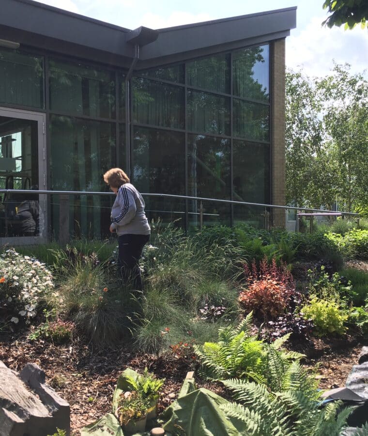 Volunteer gardeners at Mount Vernon Cancer Centre