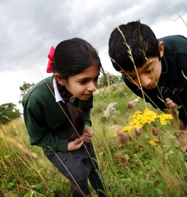 Marston Green Health Routes - flora