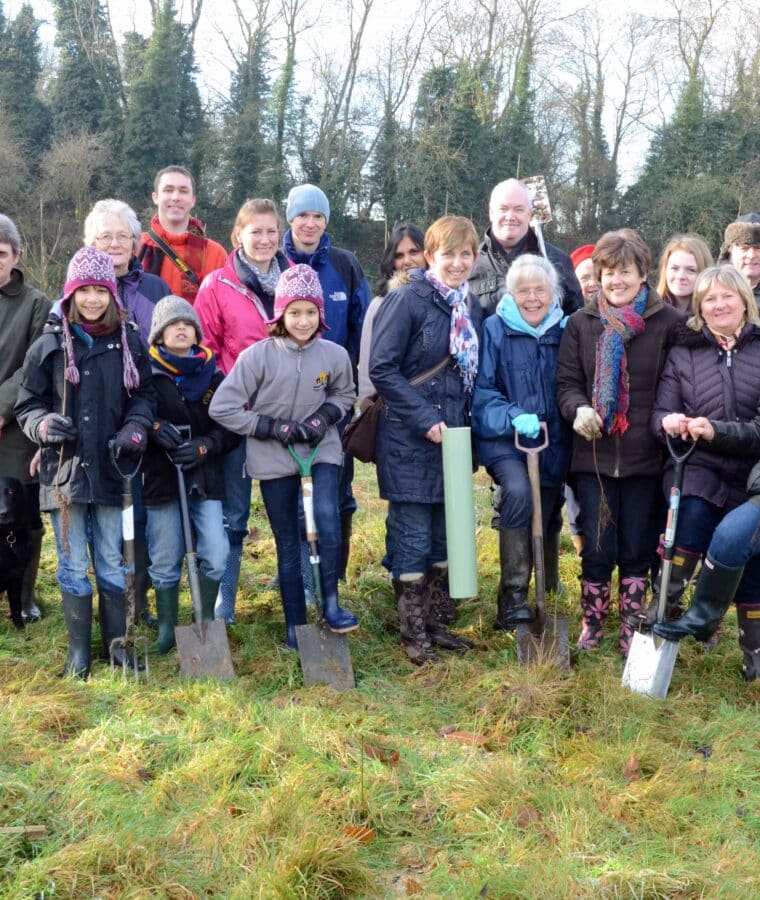 NHS staff and volunteers plant trees in Maidstone