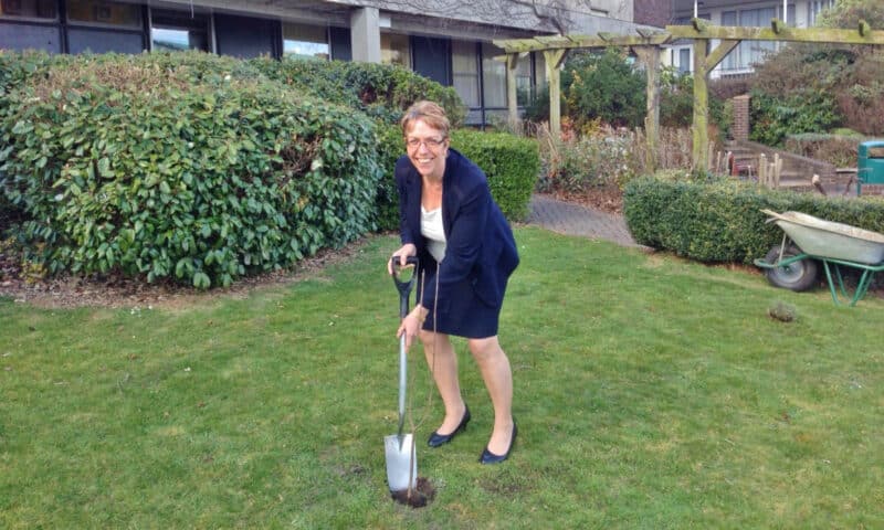 Poole Hospital - tree day