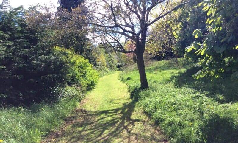 Royal Shrewsbury Hospital - pathway