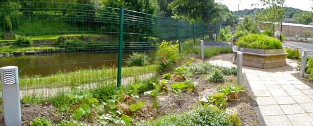 Todmorden Group Practice - Incredible Edible