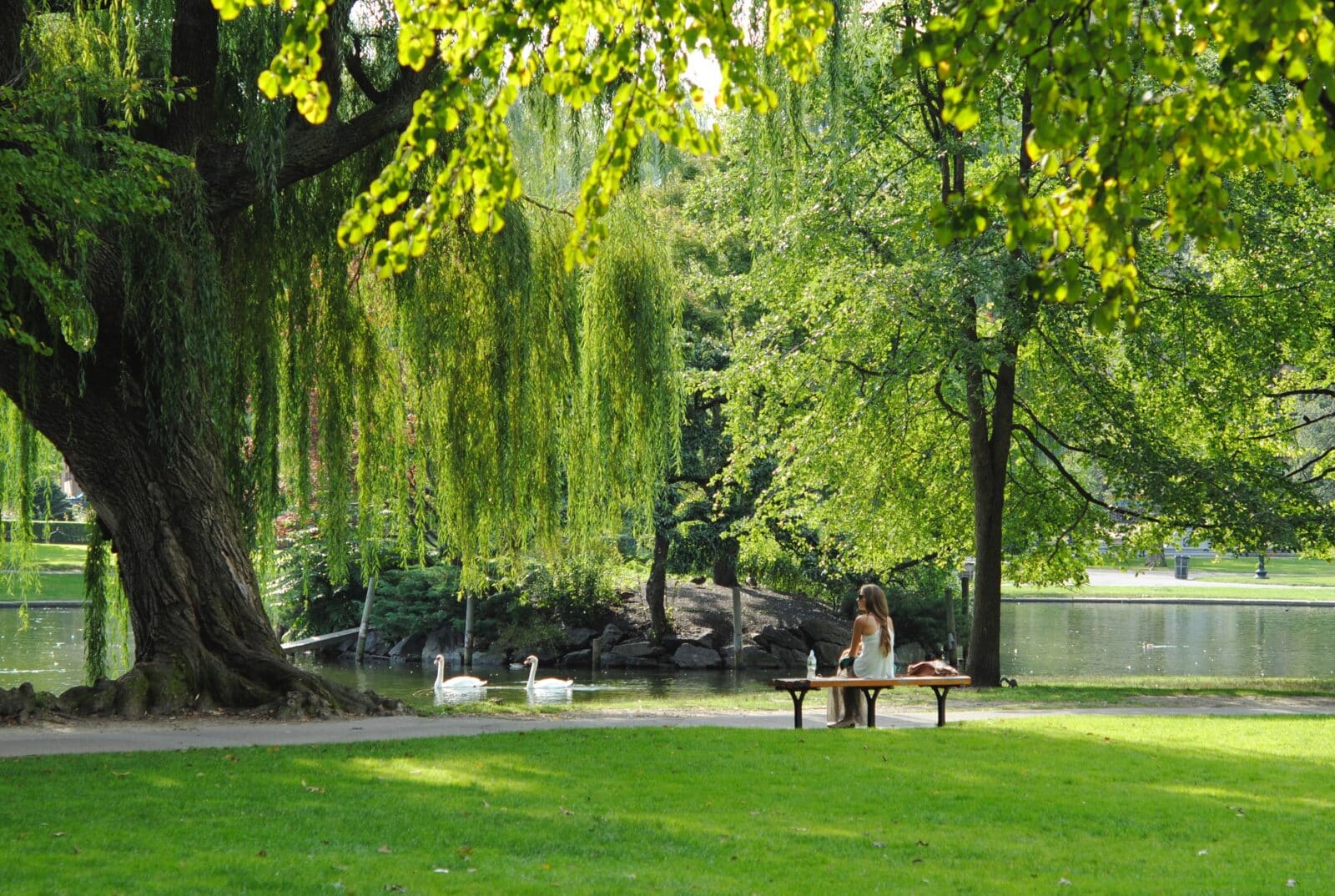Woman in a park