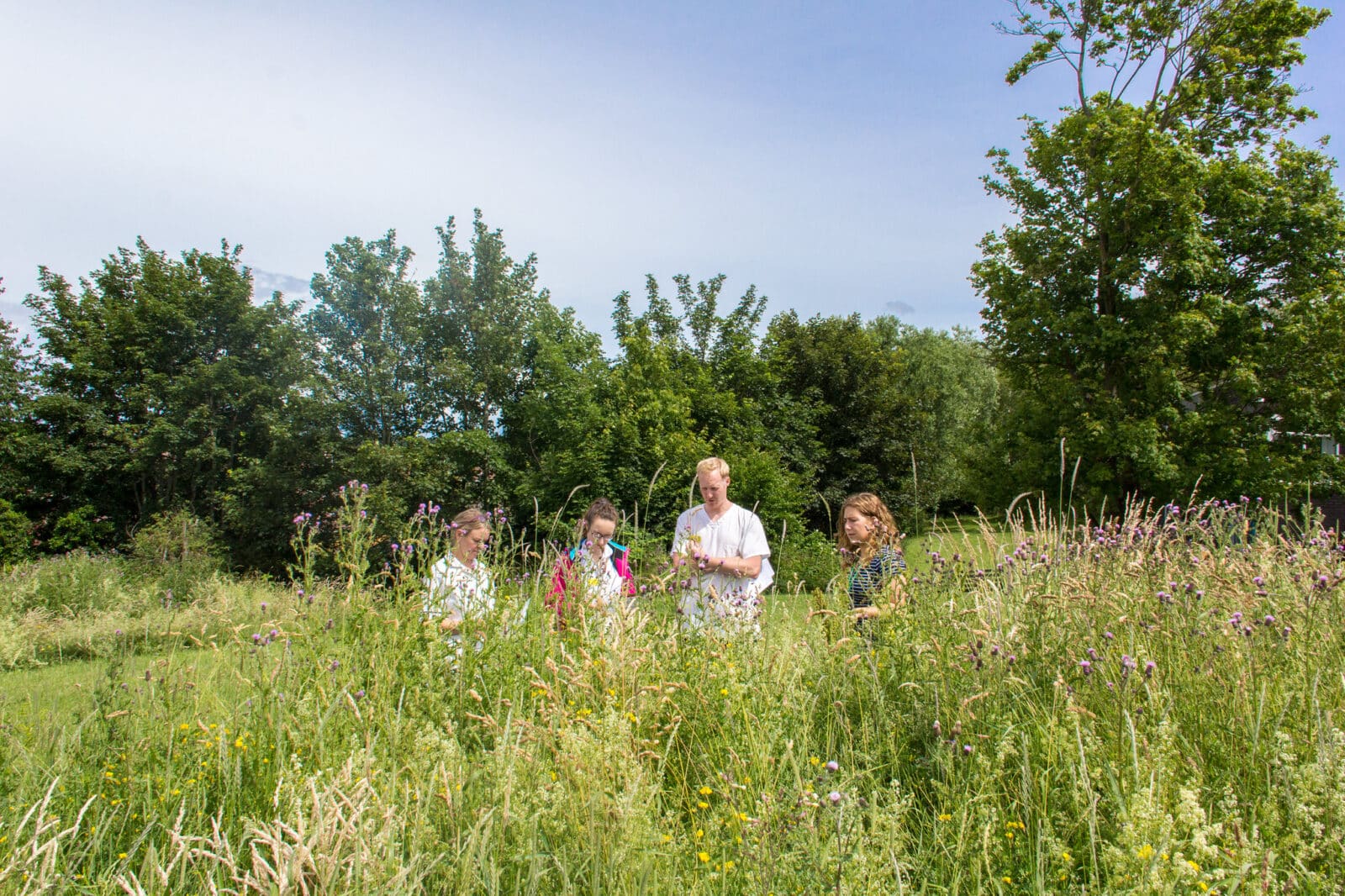 Ranger at Southmead Hospital leading a wildflower ID session