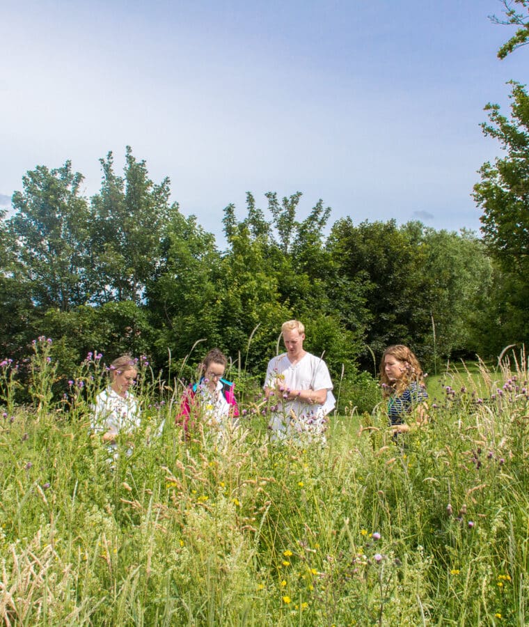 Ranger at Southmead Hospital leading a wildflower ID session