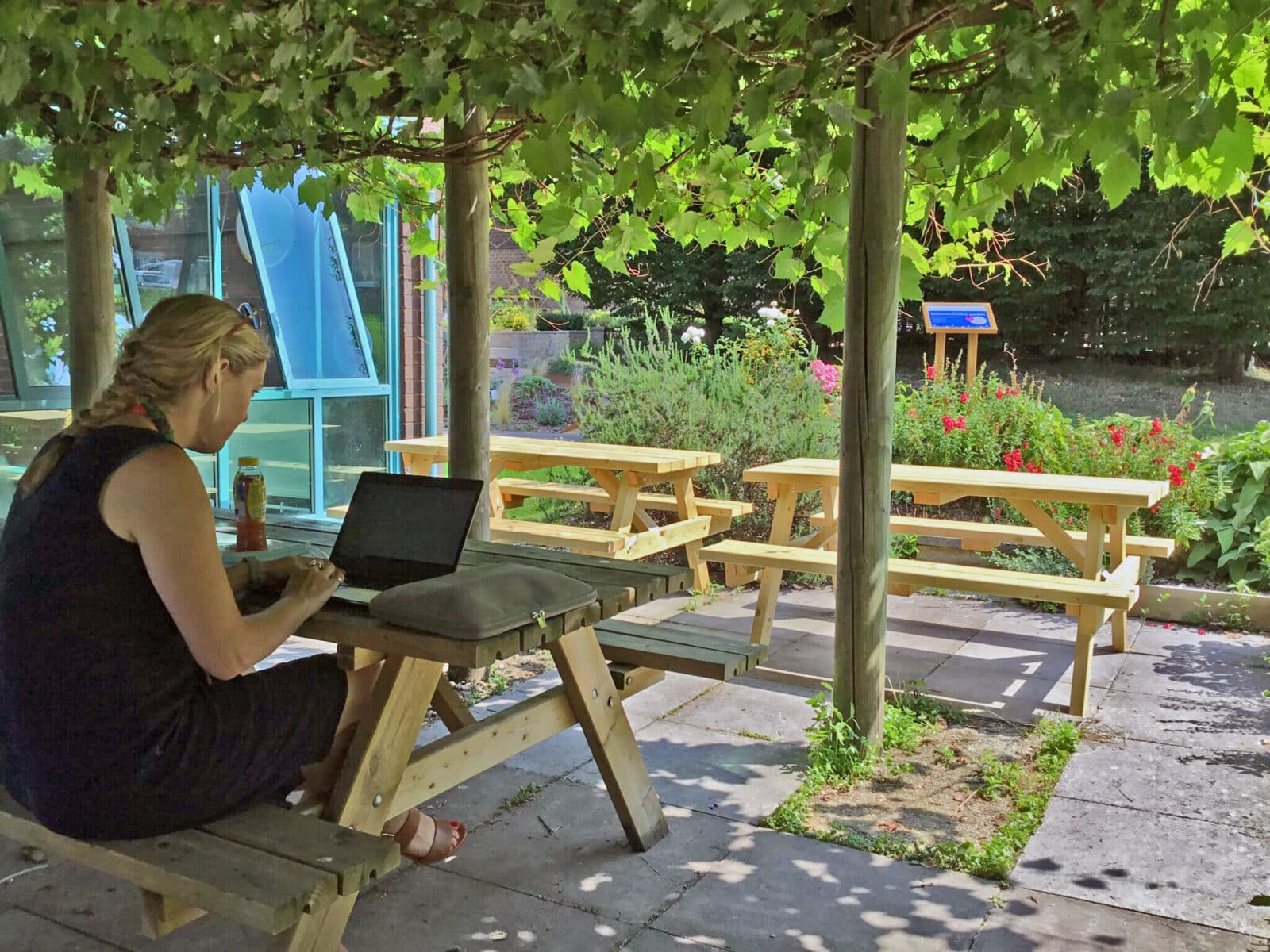 Redwood Cafe garden, Gloucestershire Royal Hospital