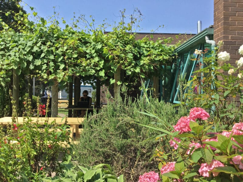 Redwood Cafe garden, Gloucestershire Royal Hospital