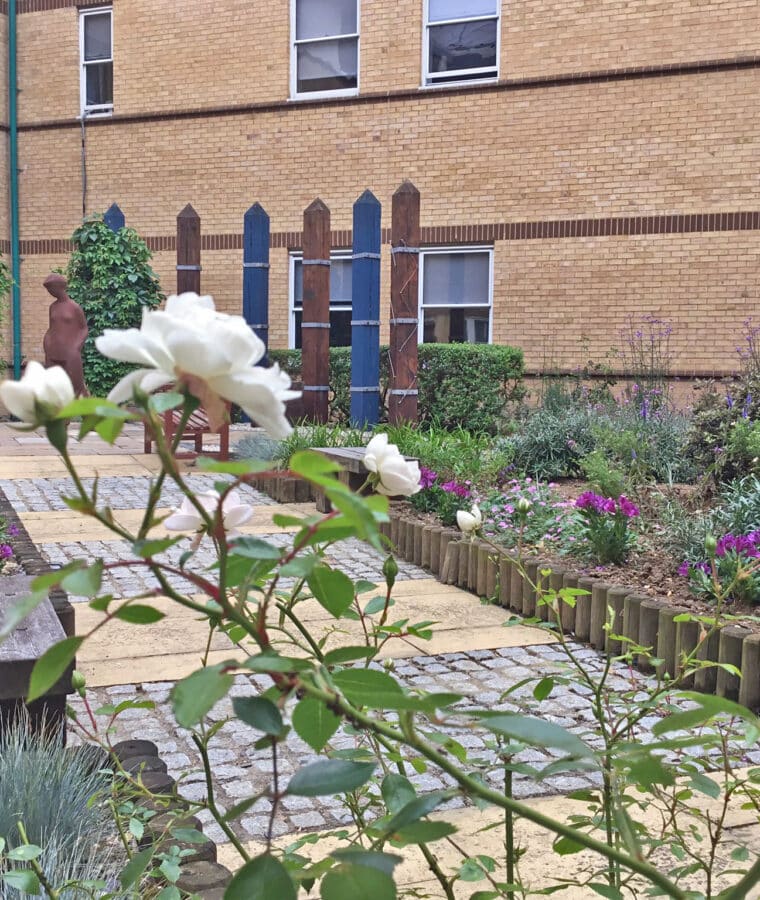 Broomfield Hospital ward courtyard garden