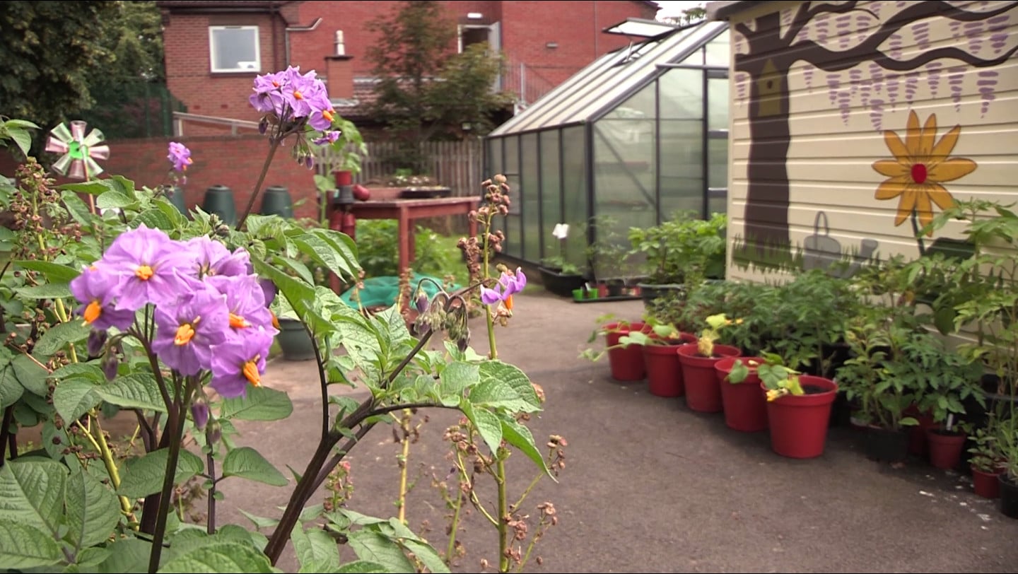 Highbury Community Garden