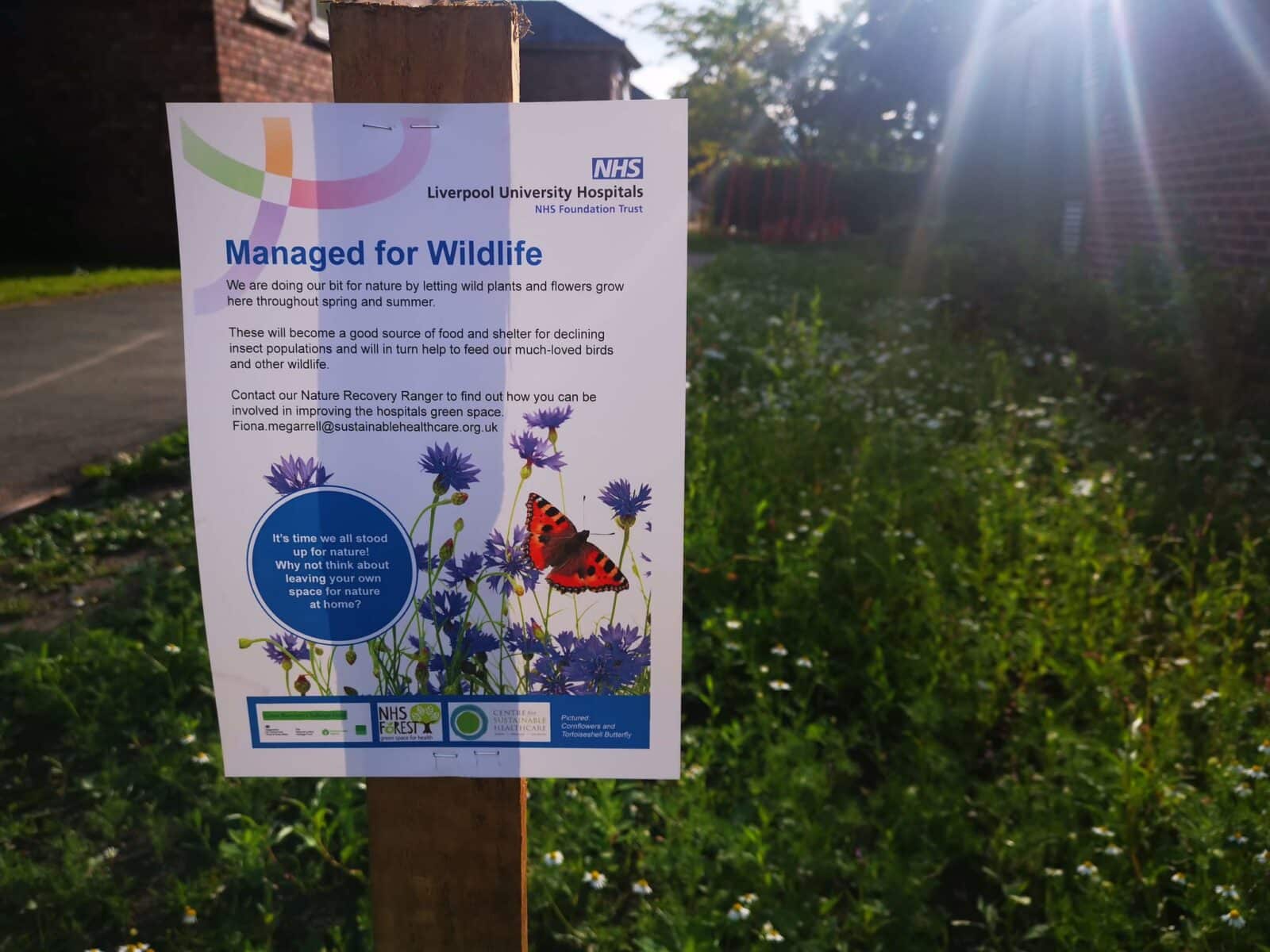 No Mow May sign in Liverpool Hospitals