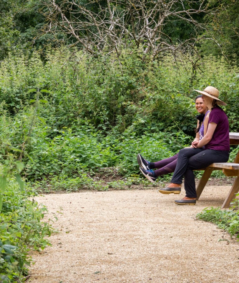 A bench along the Woodland Walkway at Mount Vernon Cancer Centre