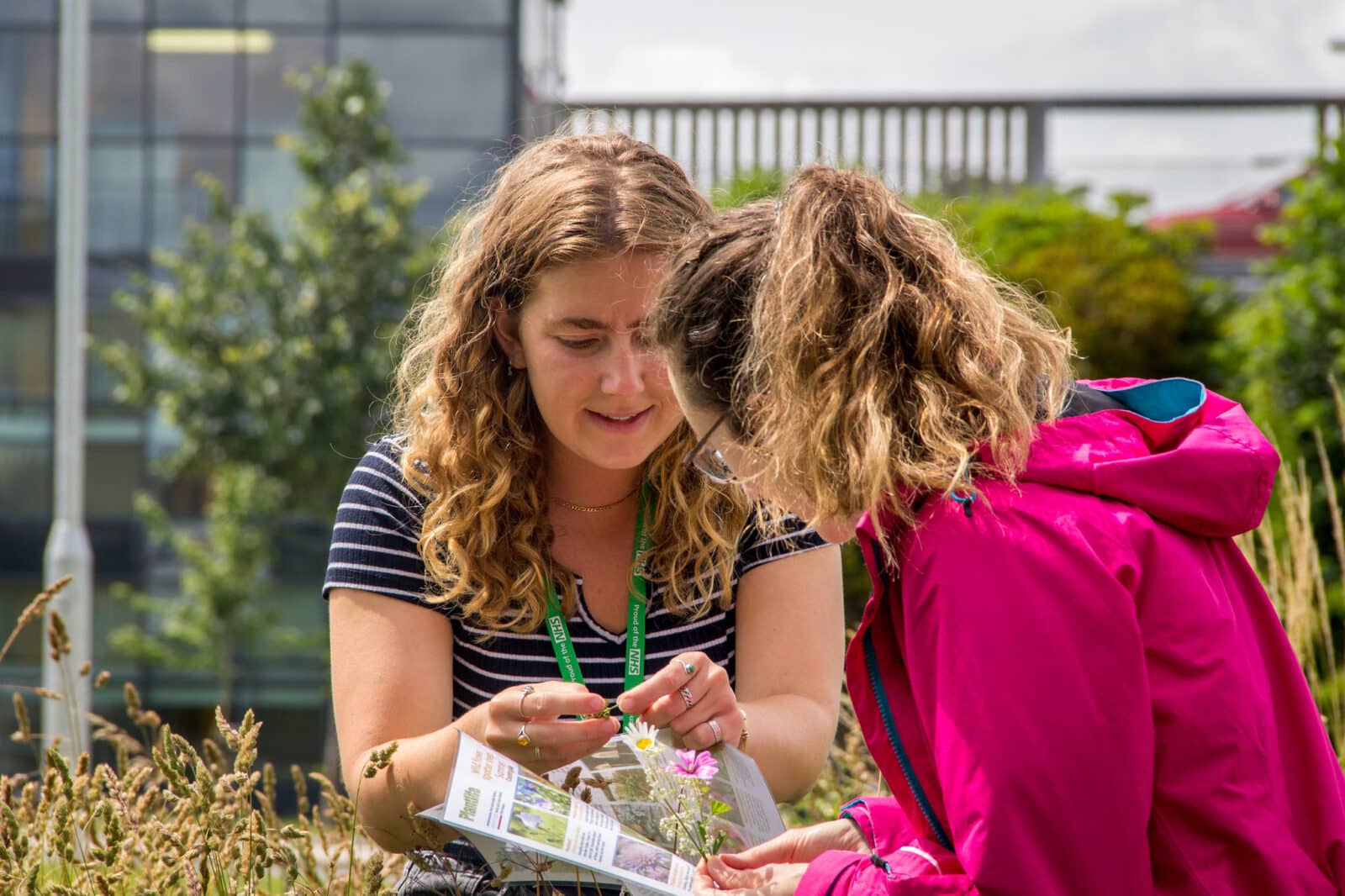 Our Southmead ranger helps staff identify wildflowers in the hospital meadows