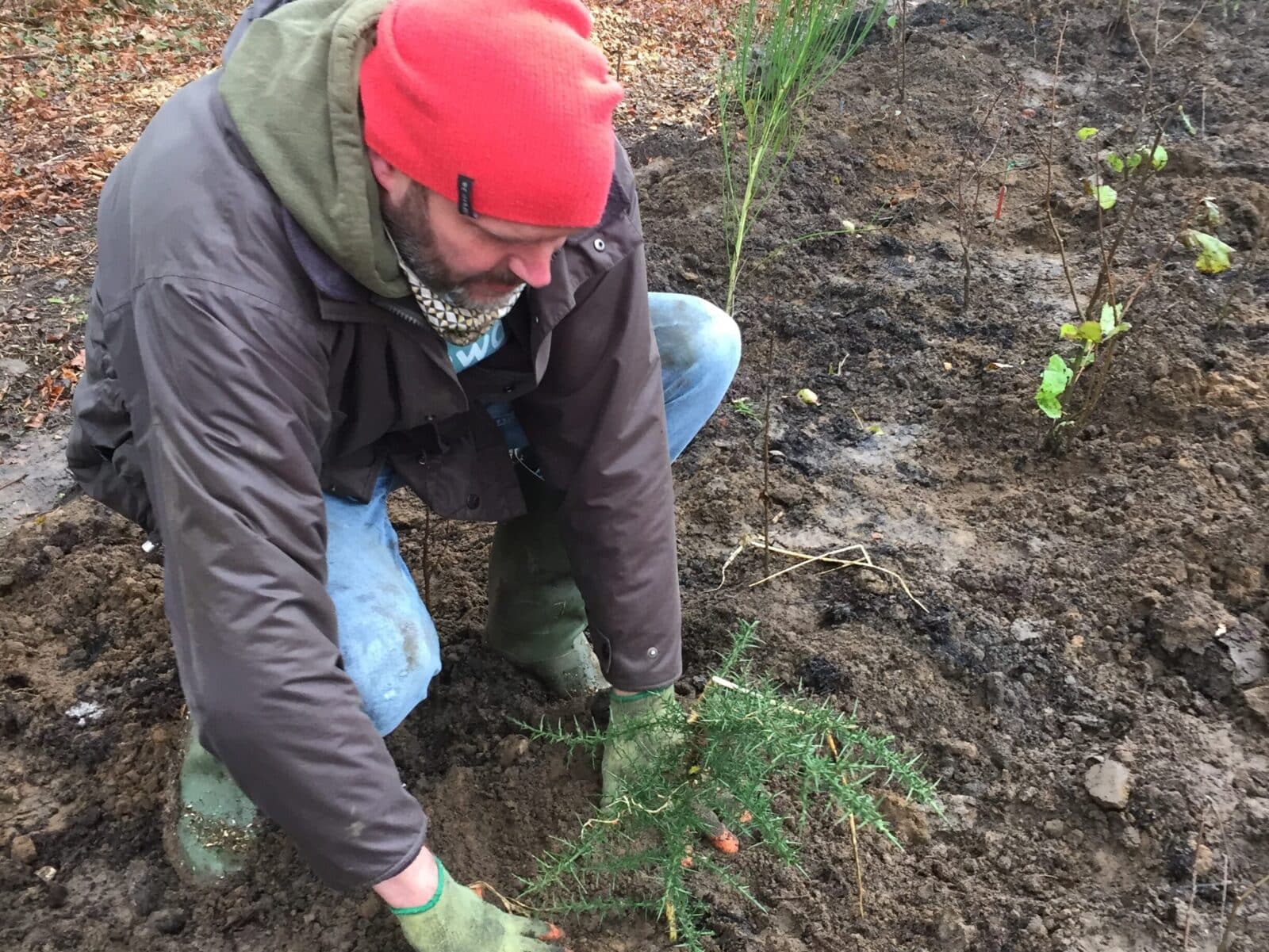 Ben Williams of Earthwatch Europe plants a tree in Littlemore Hospital's Tiny Forest