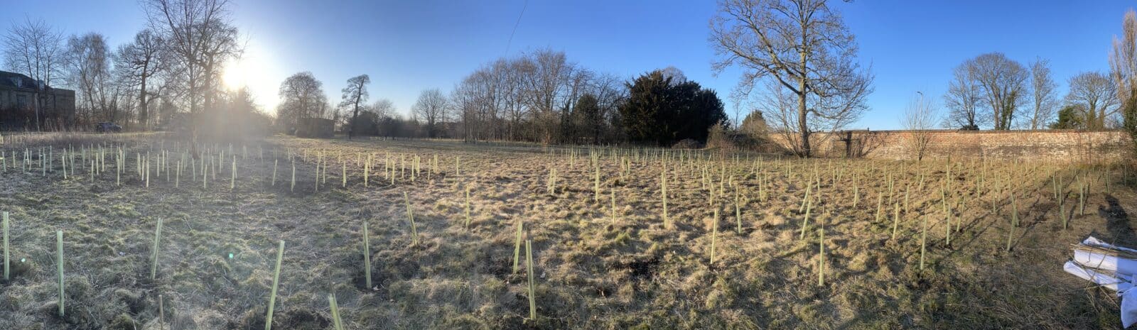 Tree planting at Fairfields, York, March 2022