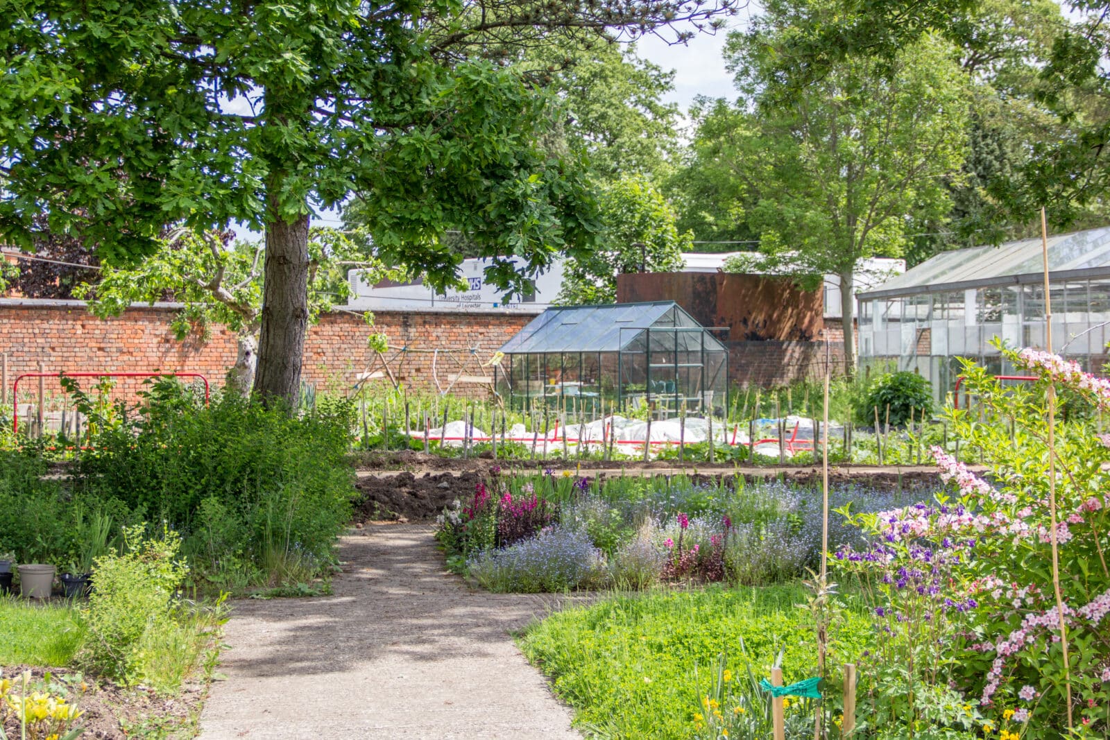 A greenhouse will be used for therapeutic horticulture activities in the Secret Garden at Glenfield Hospital